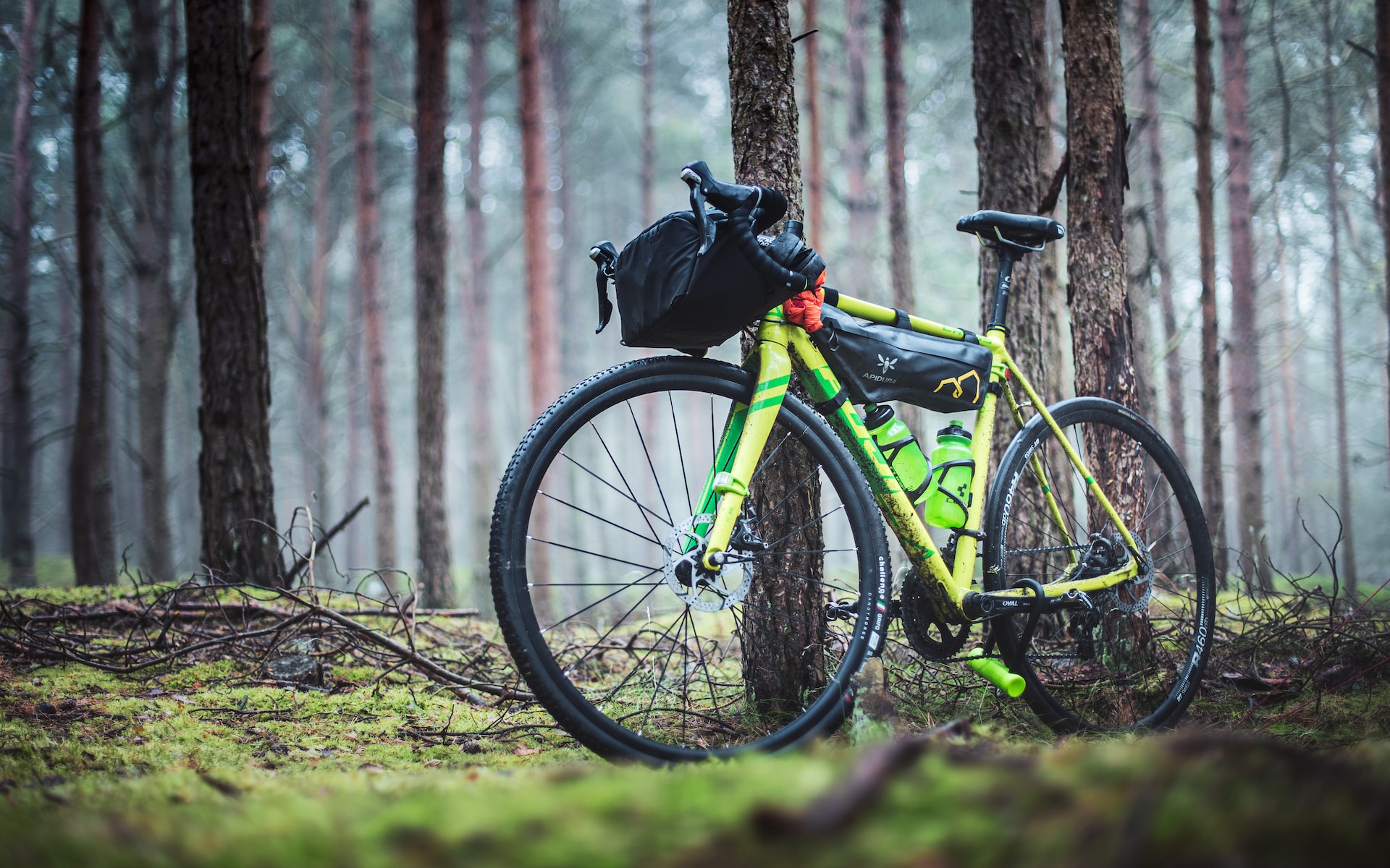 carbon fat bike wheels