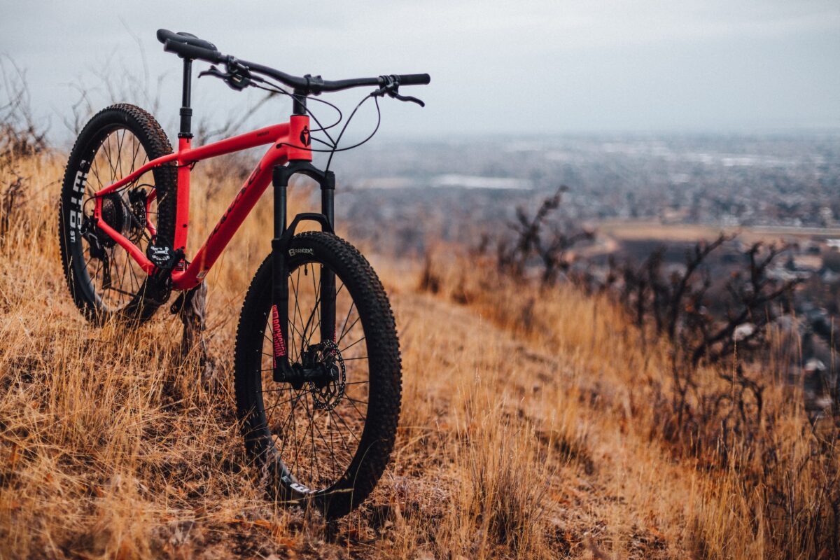 carbon fat bike wheels